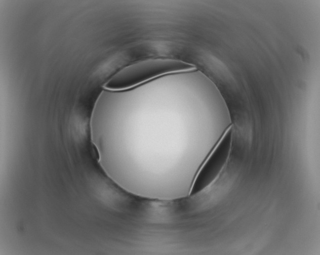 X0000114150188200910221554