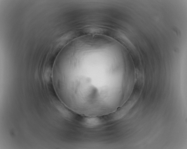 X0000114150189200910221554