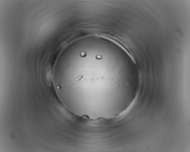 X0000114150190200910221554