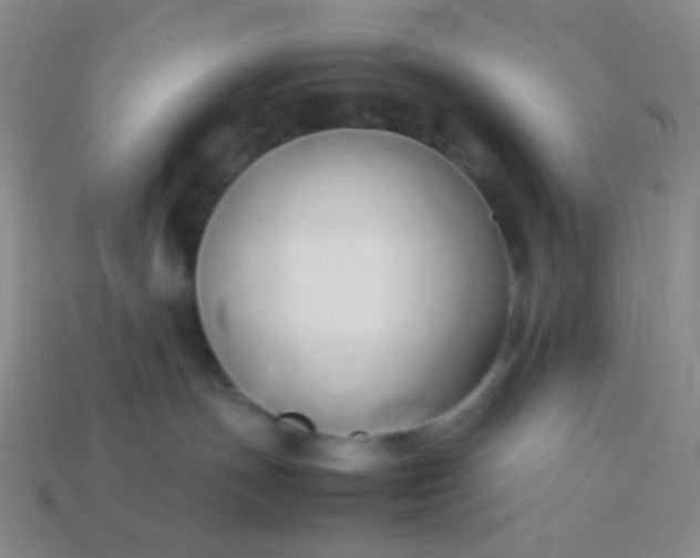 X0000114150191200910221554