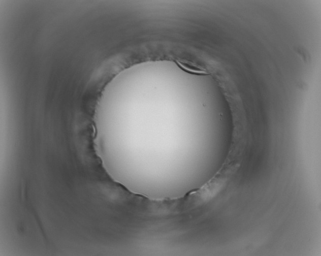 X0000114150192200910221554