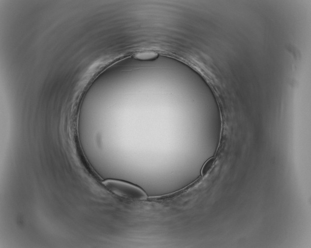 X0000114150193200910221554