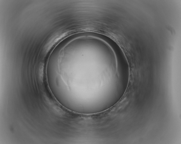 X0000114150194200910221554