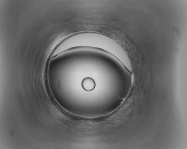 X0000114150195200910221554