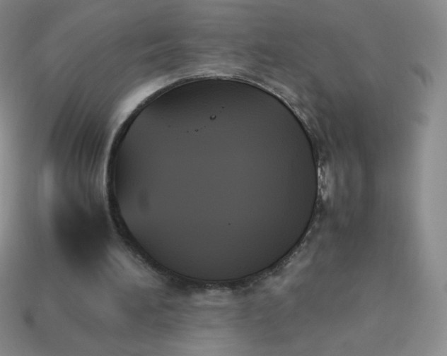 X0000114150196200910221554