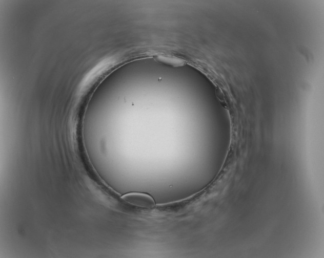 X0000114150197200910221554