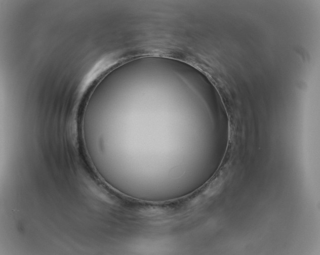 X0000114150198200910221554