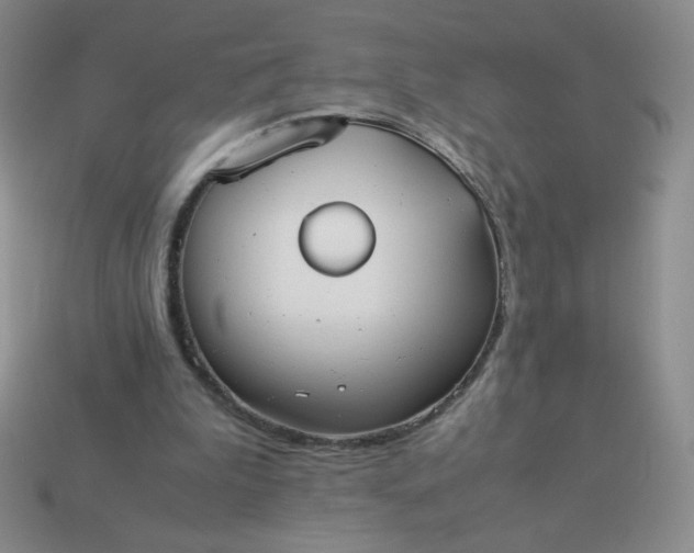 X0000114150199200910221554