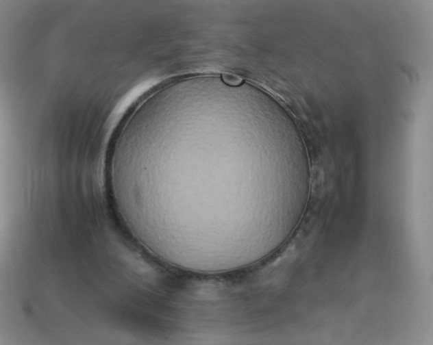 X0000114150200200910221554