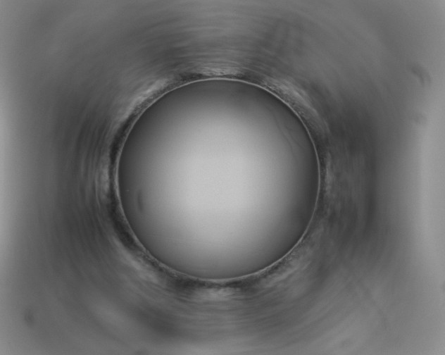 X0000114150202200910221554