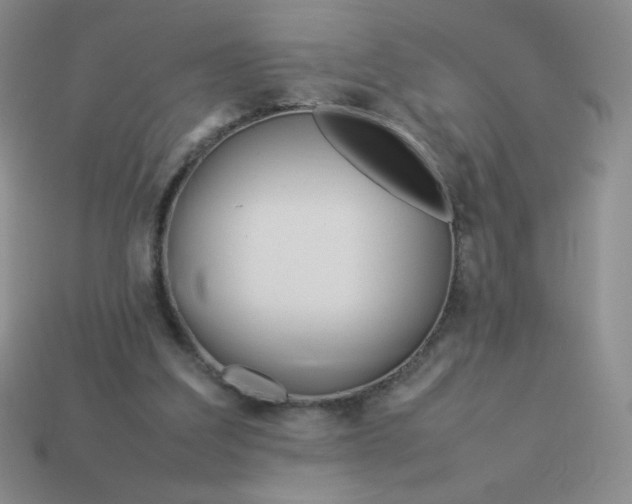 X0000114150203200910221554