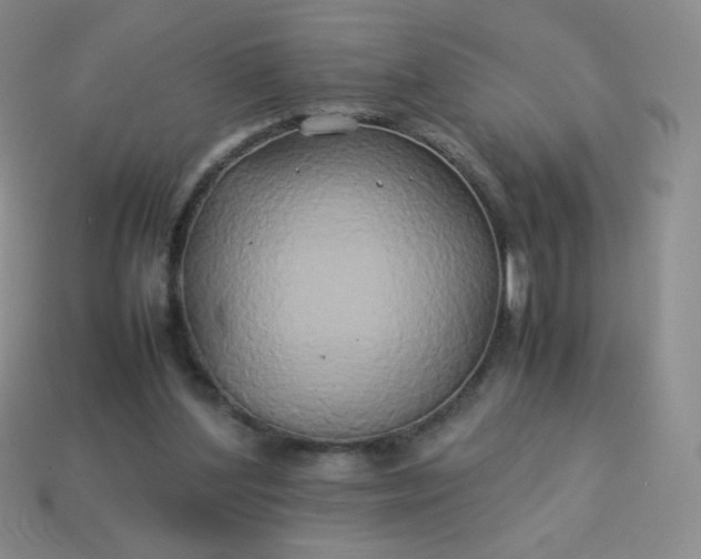 X0000114150204200910221554