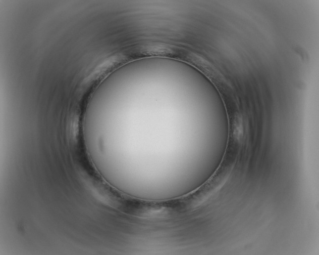 X0000114150206200910221554