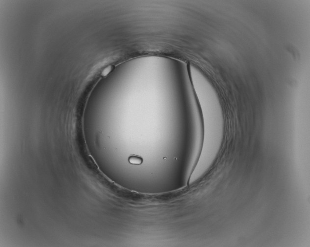 X0000114150207200910221554