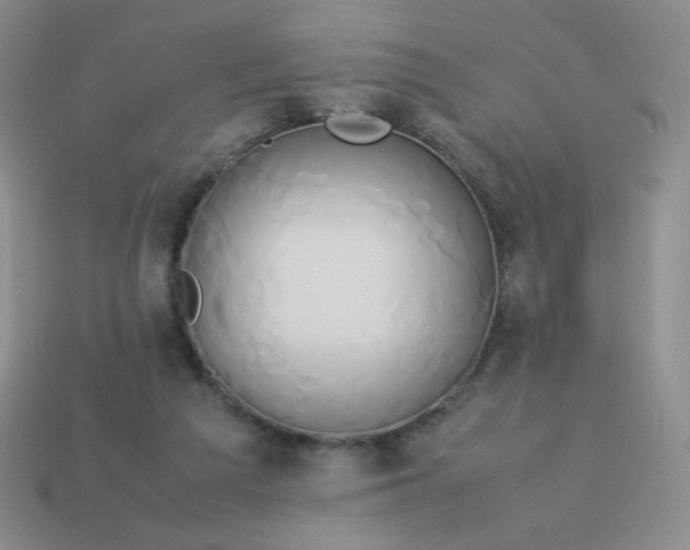 X0000114150209200910221553