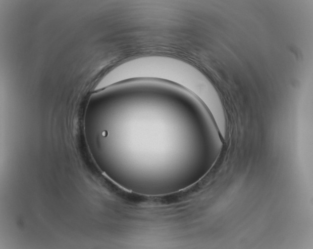 X0000114150211200910221553