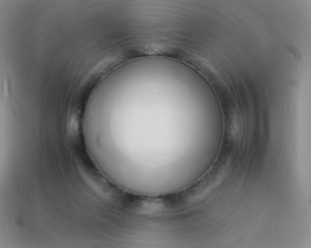 X0000114150214200910221553