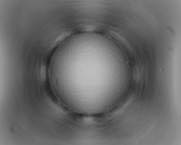 X0000114150216200910221553