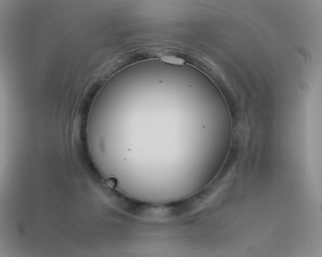 X0000114150217200910221553