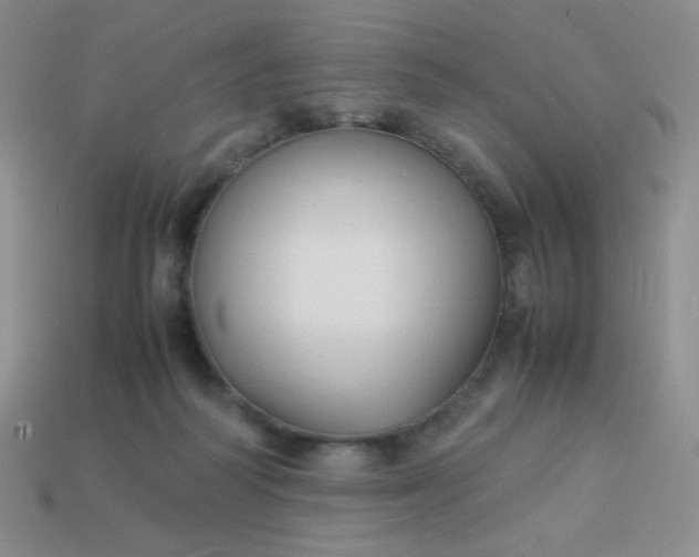 X0000114150218200910221553