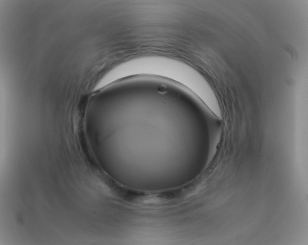 X0000114150219200910221553