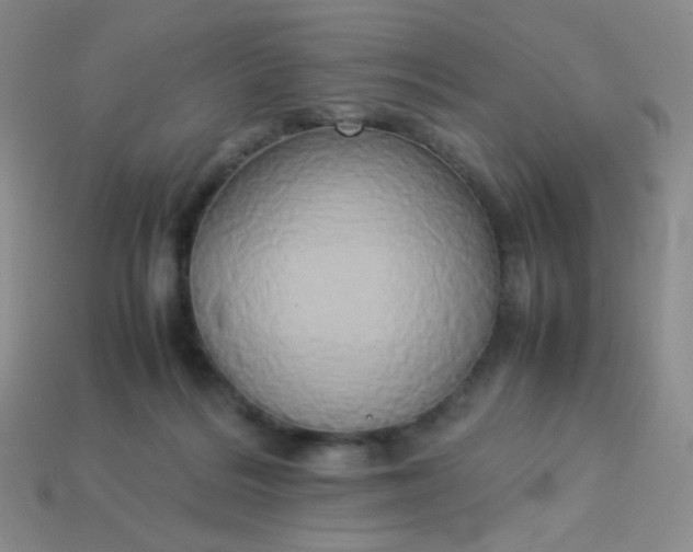 X0000114150220200910221553