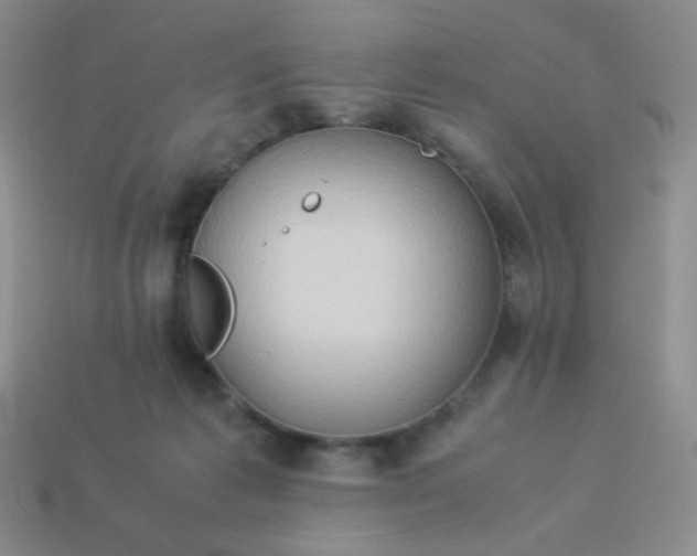 X0000114150221200910221553