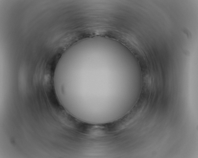 X0000114150222200910221553