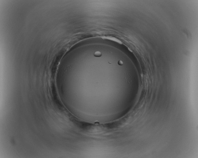 X0000114150223200910221553