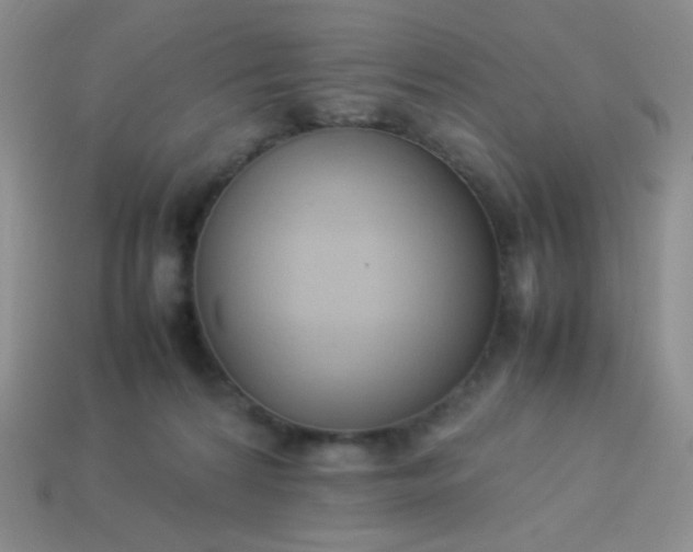 X0000114150224200910221553