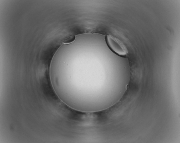 X0000114150225200910221553