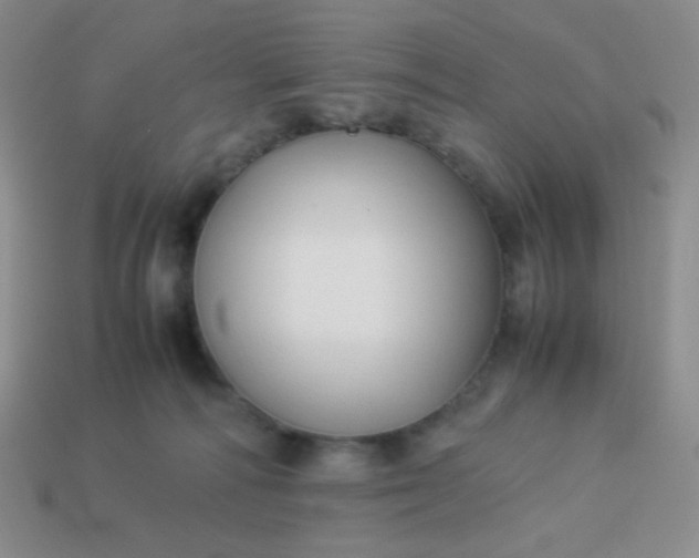 X0000114150226200910221553