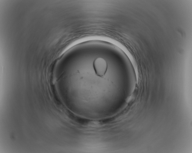 X0000114150227200910221553