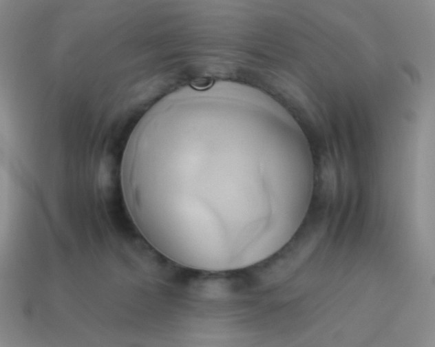 X0000114150228200910221553