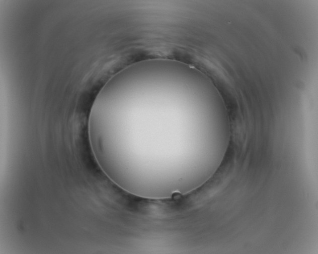 X0000114150229200910221553