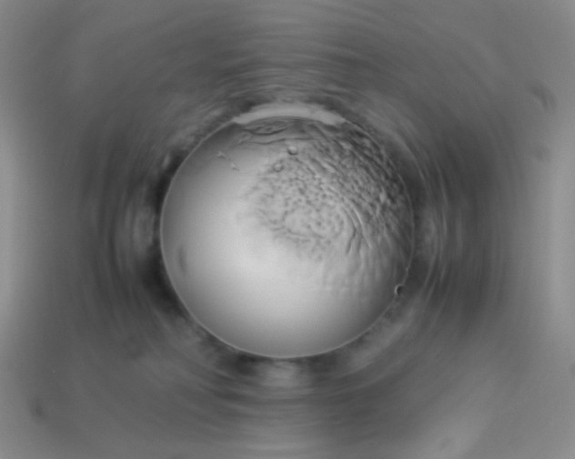 X0000114150230200910221553