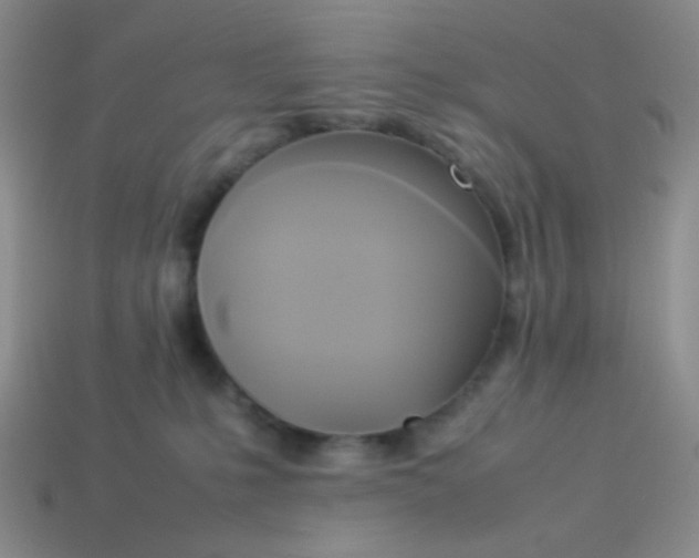 X0000114150231200910221553