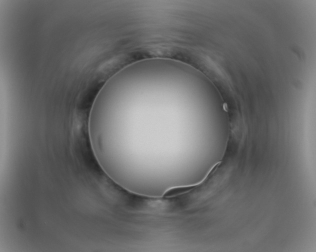 X0000114150233200910221553