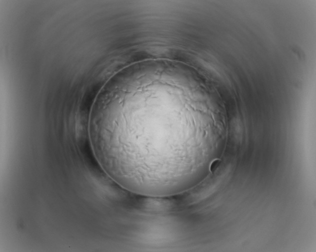 X0000114150234200910221553