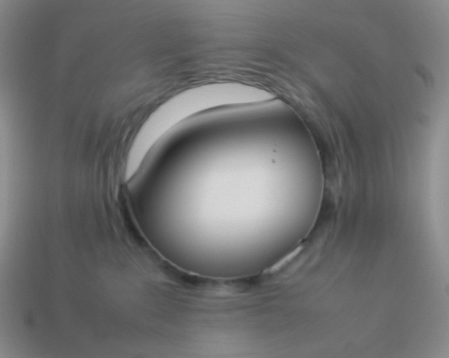 X0000114150235200910221553