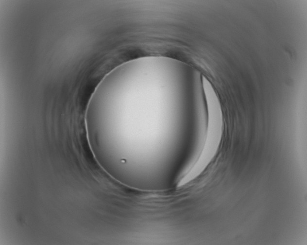 X0000114150237200910221553