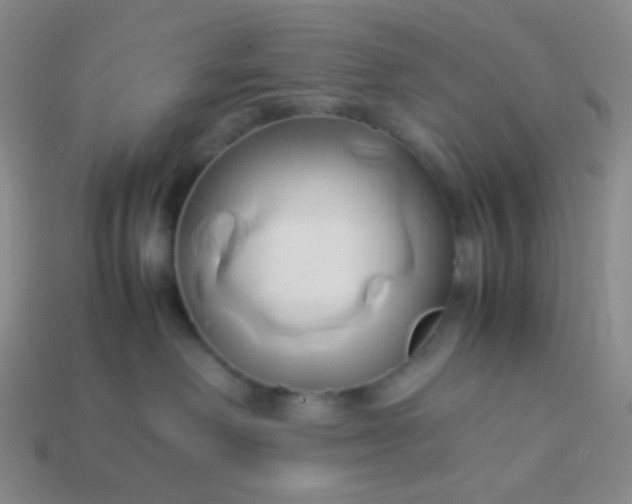 X0000114150238200910221553