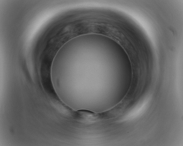 X0000114150239200910221553