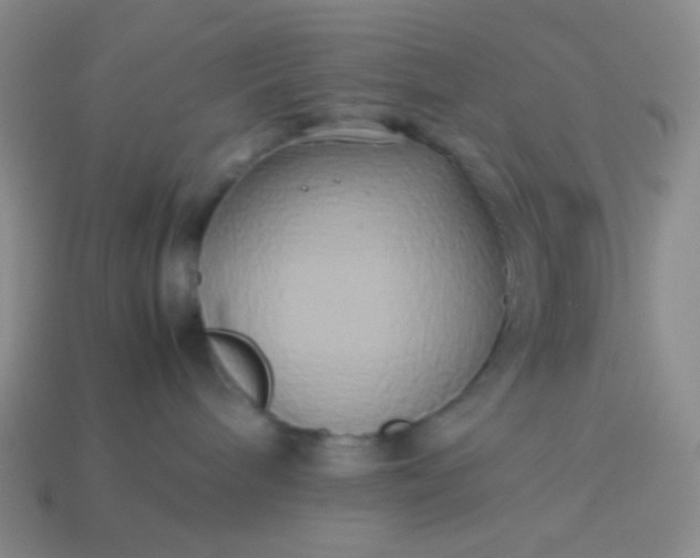 X0000114150240200910221553