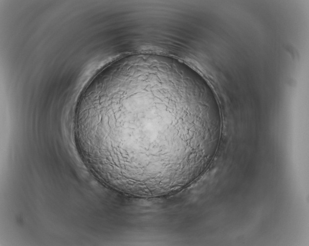 X0000114150241200910221552