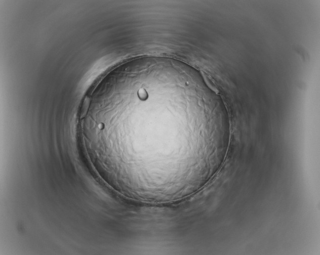 X0000114150242200910221552