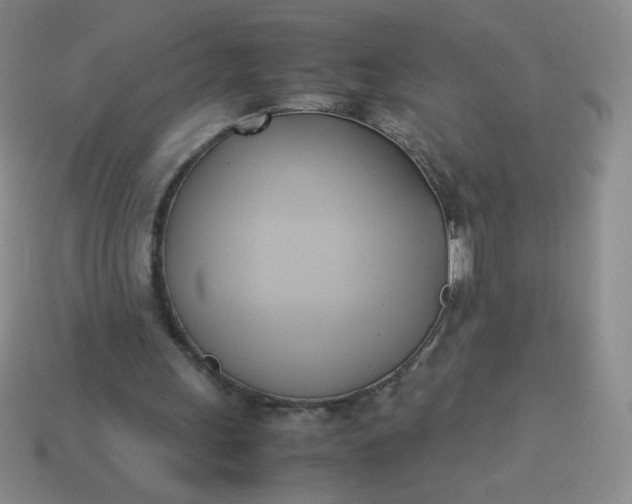 X0000114150243200910221553