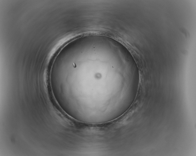 X0000114150244200910221553