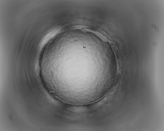 X0000114150245200910221553