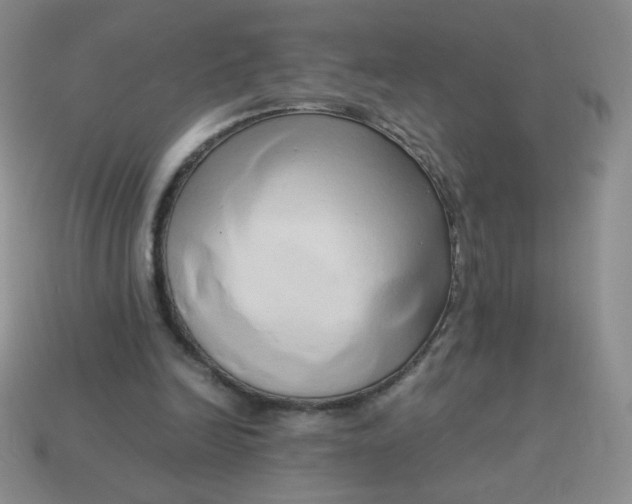 X0000114150246200910221553